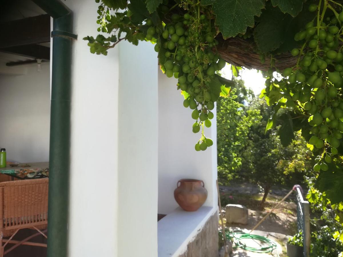 Villa Nanin Tilcara Kültér fotó